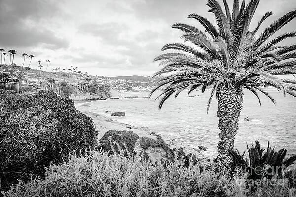 California Wall Art featuring the photograph Laguna Beach Black And White Photo #3 by Paul Velgos