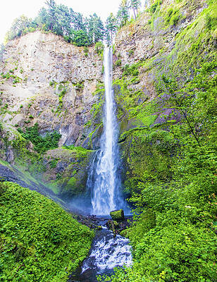 Tree Wall Art featuring the photograph Multnomah Falls #3 by Jonny D