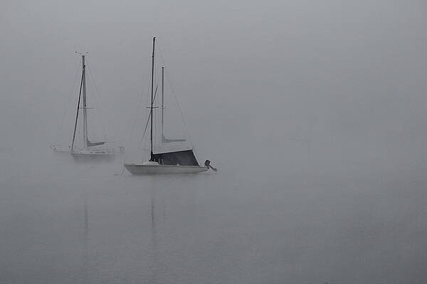 Summer Photograph - Wolfeboro NH #38 by Donn Ingemie