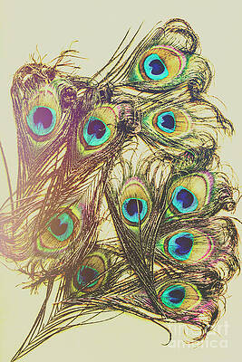 Cluster of peacock feathers by Jorgo Photography