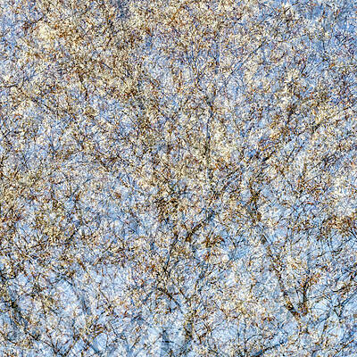 Toronto Photograph - Spring Season - Inspired By Jackson Pollock #3 by Shankar Adiseshan