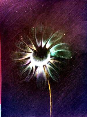 Wall Art featuring the digital art Untitled  #88 by Donald C-Note Hooker