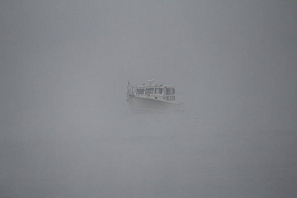 Summer Photograph - Wolfeboro NH #60 by Donn Ingemie