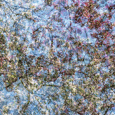 Toronto Photograph - Spring Season - Inspired By Jackson Pollock #8 by Shankar Adiseshan