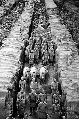 Terracotta Army Excavation Site Photograph