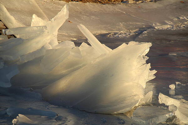 Summer Photograph - Wolfeboro NH #75 by Donn Ingemie