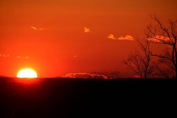 Sunset Wall Art featuring the photograph Sunsets #82 by Donn Ingemie