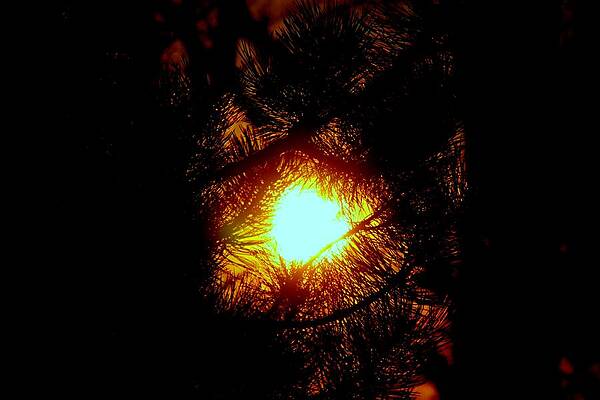 Sunset Wall Art featuring the photograph Sunsets #89 by Donn Ingemie