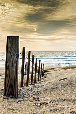 Photograph - A Beach Morning by Rob Narwid