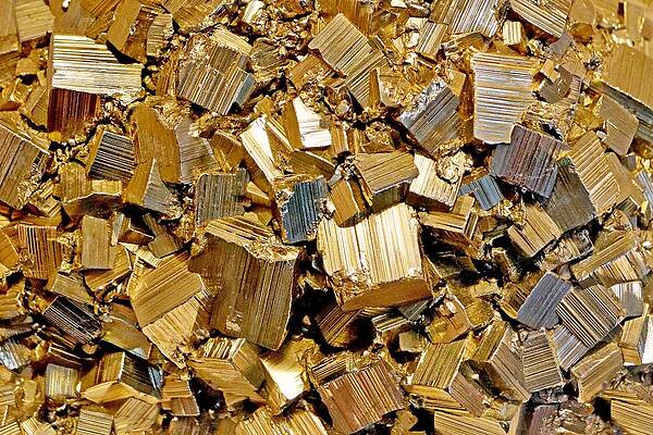 San Francisco Photograph - A Fool's Gold by KJ Swan