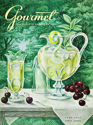 Vintage 1950s Lemonade Picnic Photograph