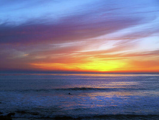 Wall Art featuring the photograph A L O N E by Joe Schofield