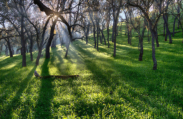 Country Wall Art featuring the photograph A Little Light Goes A Long Way by Beth Sargent
