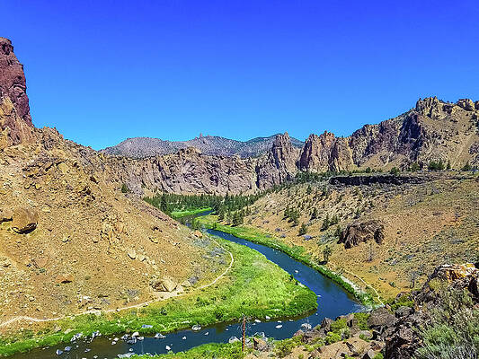 Tree Wall Art featuring the photograph A River Runs Through by Jonny D