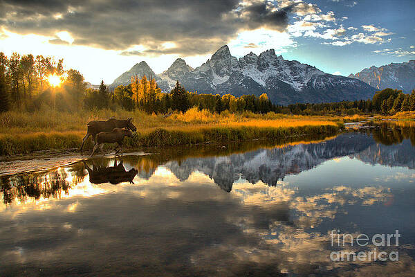 Majestic Moose and Mountain Reflections Wall Art