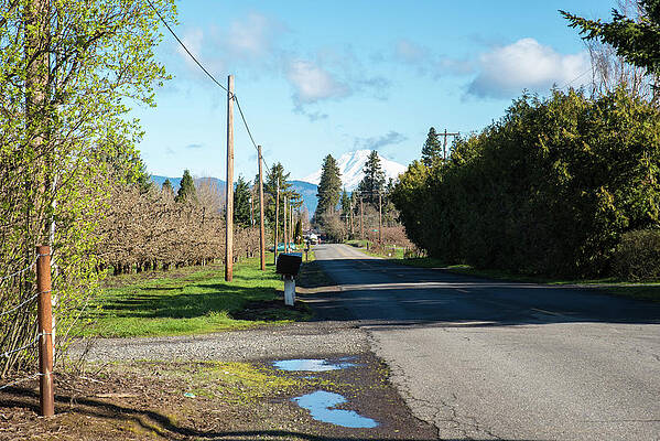 Oregon Wall Art featuring the photograph A Wet Winter by Tom Cochran