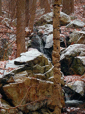 Waterfall Photograph - A Wood's Waterfall by Raymond Salani III