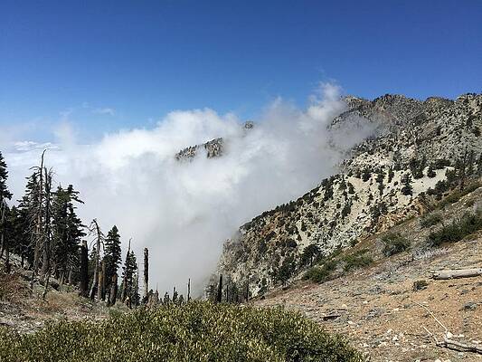 Cloud Wall Art featuring the photograph Above The Clouds by Ed Clark