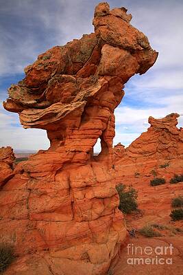 Wilderness Wall Art featuring the photograph Abstract Erosion by Adam Jewell