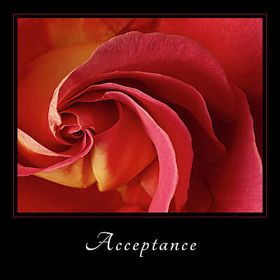 Wall Art featuring the photograph Acceptance 1 by Mary Jo Allen