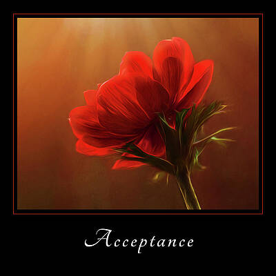 Wall Art featuring the photograph Acceptance 3 by Mary Jo Allen