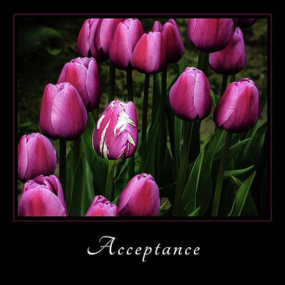 Unique Pink Tulip Wall Art