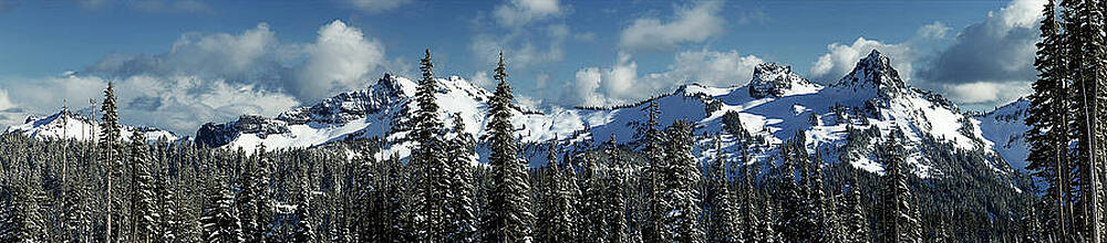 Wall Art featuring the photograph Across From Mt Rainier by Mary Jo Allen
