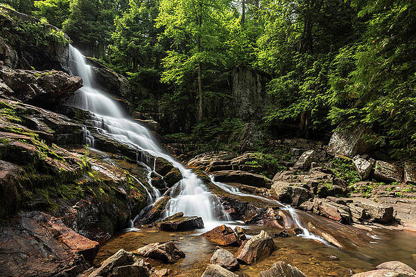 Nature Wall Art featuring the photograph Adirondack Spring by Todd Wilkinson
