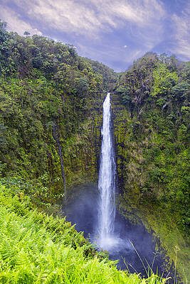 Majestic Waterfall in Lush Forest Wall Art