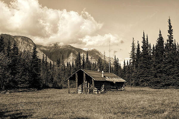 Wall Art featuring the photograph Alaska Trapper Cabin by Fred Denner