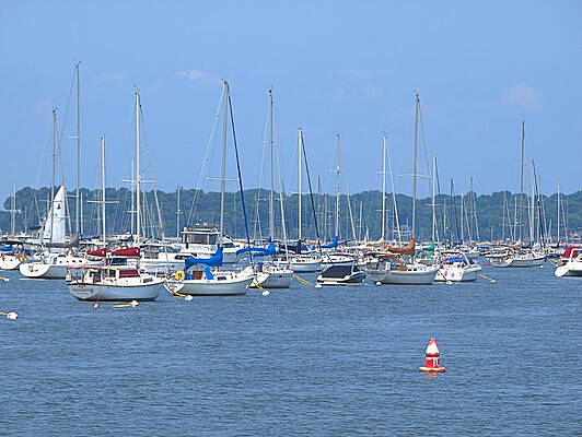 Photograph - All In Line by Robert Newman