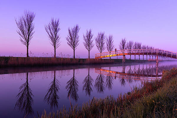 Architecture Wall Art featuring the photograph Alone On A Canal Bridge by Sue Leonard