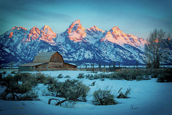 Wall Art featuring the photograph Alpine Glow N Sage by Carla E