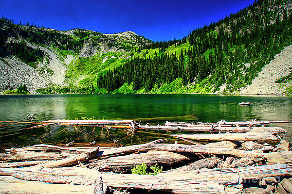 Summer Photograph - Alpine Lake In The North Cascades by Bruce Block