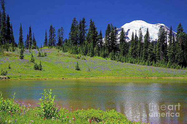 Summer Photograph - Alpine Lake Near Mt. Rainer by Bruce Block