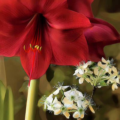 Still Life Wall Art featuring the digital art Amarilli, Mia Bella by Gina Harrison