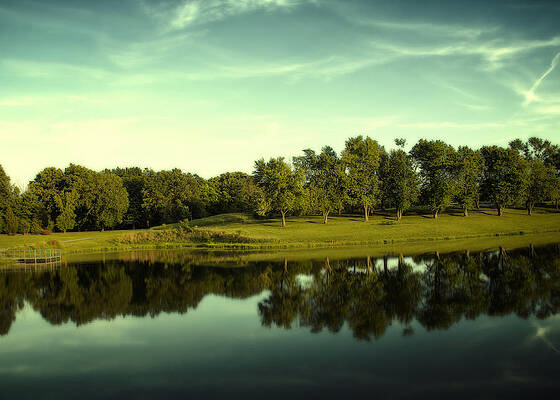 Serene Lakeside Landscape Wall Art