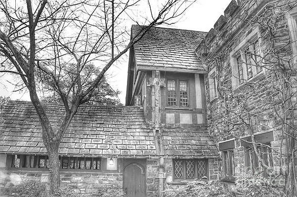 Wall Art featuring the photograph Annex At Ringwood Manor With Tree by Christopher Lotito