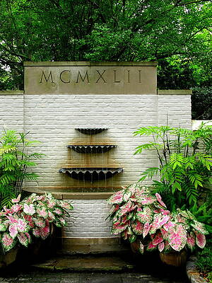 Garden Wall Art featuring the photograph Anno Dominae by C Thomas Cooney