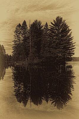 Wall Art featuring the photograph Antique Boom Lake Pines by Dale Kauzlaric