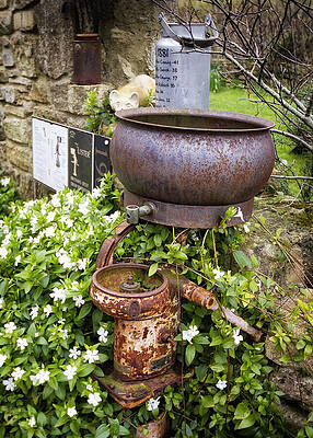 Wall Art featuring the photograph Antique Lister Cream Separator by Shirley Mitchell