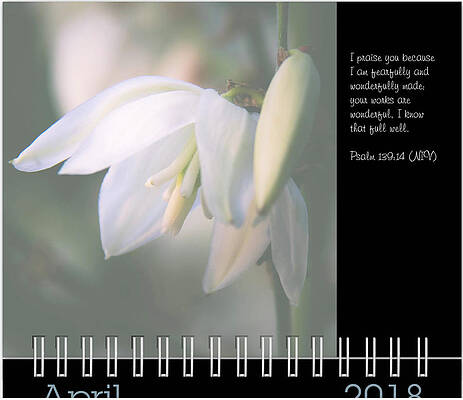 Inspirational Photograph - April Inspirational Preview by Joni Eskridge