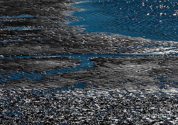 Reflection Photograph - Argento by Debra Banks