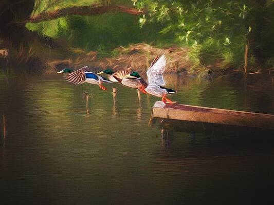 Photograph - Around The River by Jaroslav Buna