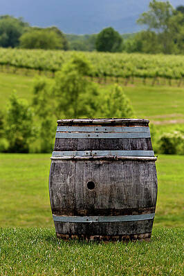 Photograph - Around The Vineyard by Rob Narwid
