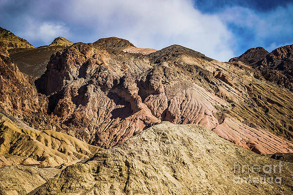 California Photograph - Artist's Drive by Blake Webster