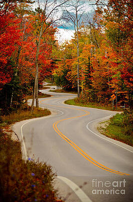Winding Autumn Road Wall Art