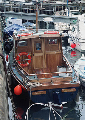 Wall Art featuring the photograph Assessor by Kenneth Campbell