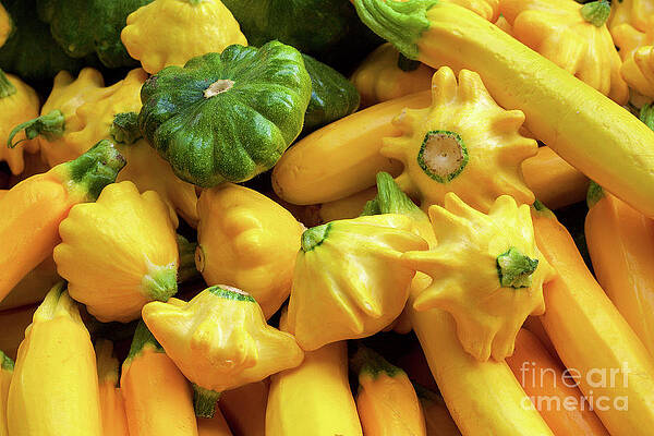 Summer Photograph - Assorted Summer Squash At The Farmer's Market by Bruce Block