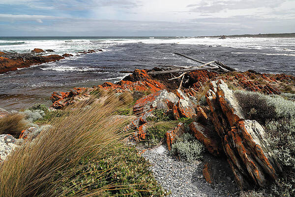 Beach Photograph - At The Edge Of The World by Nicholas Blackwell